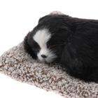 Игрушка в машину на панель, собака на подушке, чёрный окрас - Фото 5