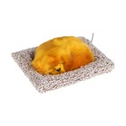 Игрушка в машину на панель, собака на подушке, рыжий окрас - Фото 1