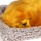 Игрушка в машину на панель, собака на подушке, рыжий окрас - Фото 2