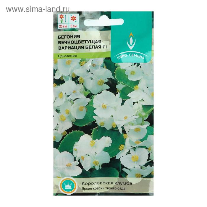 Семена цветов Бегония "Вариация белая", F1, вечноцветущая, однолетник, цв/п, 10 шт - Фото 1