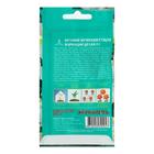 Семена цветов Бегония "Вариация белая", F1, вечноцветущая, однолетник, цв/п, 10 шт - Фото 2