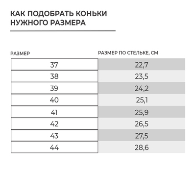 Коньки хоккейные ONLITOP 225L, р. 38