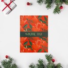 Набор открыток-комплиментов "Новогодние" в наборе 26 шт, 8 х 6 см - фото 804385112