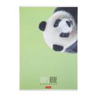 Тетрадь А4, 96 листов в клетку "Кто здесь?", обложка мелованный картон, матовая ламинация, блок офсет, МИКС (комплект 2 шт) - фото 21156965