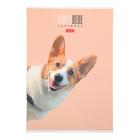 Тетрадь А4, 96 листов в клетку "Кто здесь?", обложка мелованный картон, матовая ламинация, блок офсет, МИКС (комплект 2 шт) - фото 21156966