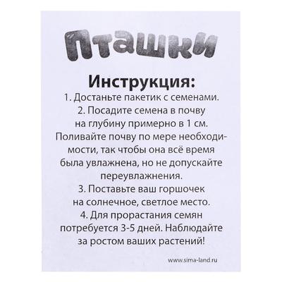 Набор для опытов, для детей «Пташки, выращиваем травку», растение в жёлтом горшочке