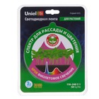 Фитолента светодиодная Uniel, 12 В, SMD 2835, 2 м, IP20, 7.5 Вт/м, 42 LED/м, мультиспектральная - Фото 6