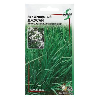 Семена Лук душистый «Джусай», 40 шт., многолетний, «Дом семян»