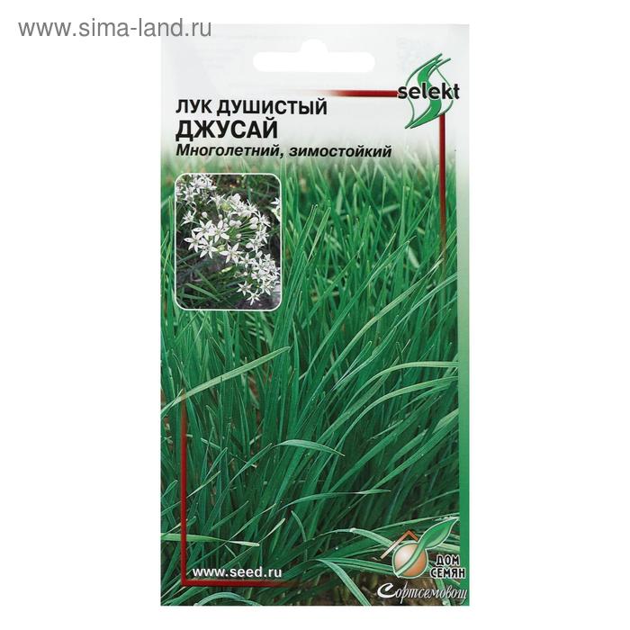 Семена Лук душистый «Джусай», 40 шт., многолетний, «Дом семян» - Фото 1