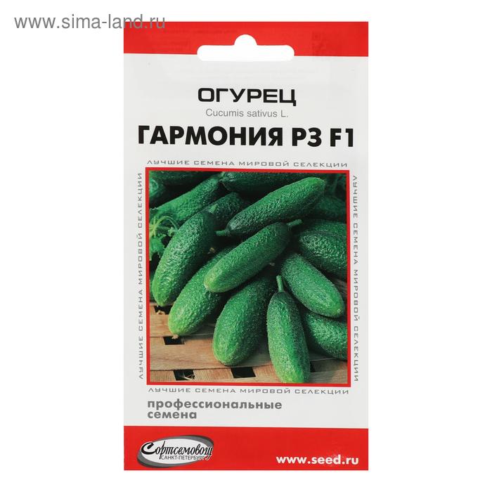 Огурец гармония отзывы фото Огурец гармония отзывы фото