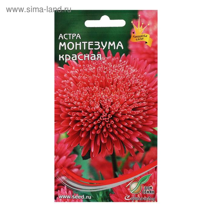 Семена цветов  Астра "Монтезума", красная, 100 шт - Фото 1