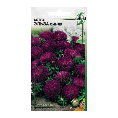 Семена цветов Астра "Эльза", синяя, 35 шт