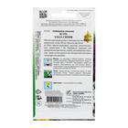 Семена цветов Астра "Эльза", синяя, 35 шт - Фото 2