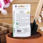 Семена цветов Астра "Эльза", синяя, 35 шт - Фото 4