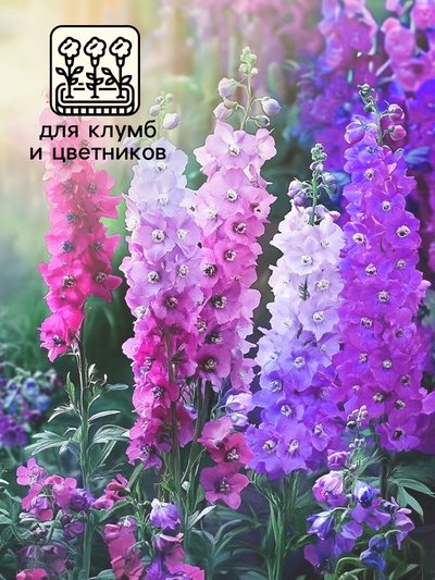 Семена цветов Дельфиниум  "Экскалибур роуз виз би", F1, 10 шт.