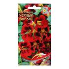 Семена цветов Настурция «Черный Бархат», 9 шт., «Дом семян» - Фото 1
