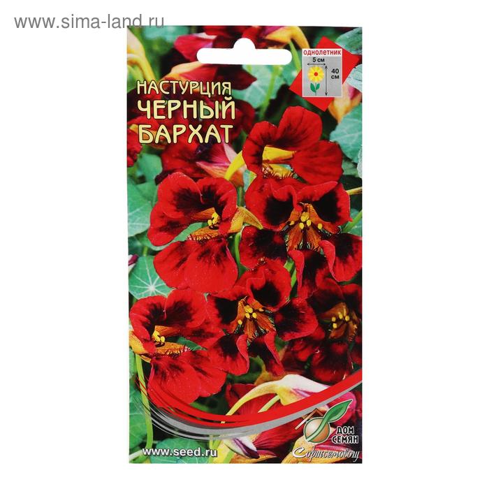 Семена цветов Настурция «Черный Бархат», 9 шт., «Дом семян» - Фото 1