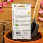 Семена цветов Вьюнок "Мозаика", красный, 44 шт - Фото 4