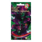 Семена цветов Горошек душистый "Купидон", пурпурный, 6 шт - Фото 1