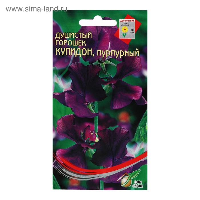 Семена цветов Горошек душистый "Купидон", пурпурный, 6 шт - Фото 1