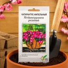 Семена цветов  Катарантус амп. Медитерранен, розовый ,7 шт - фото 26114494