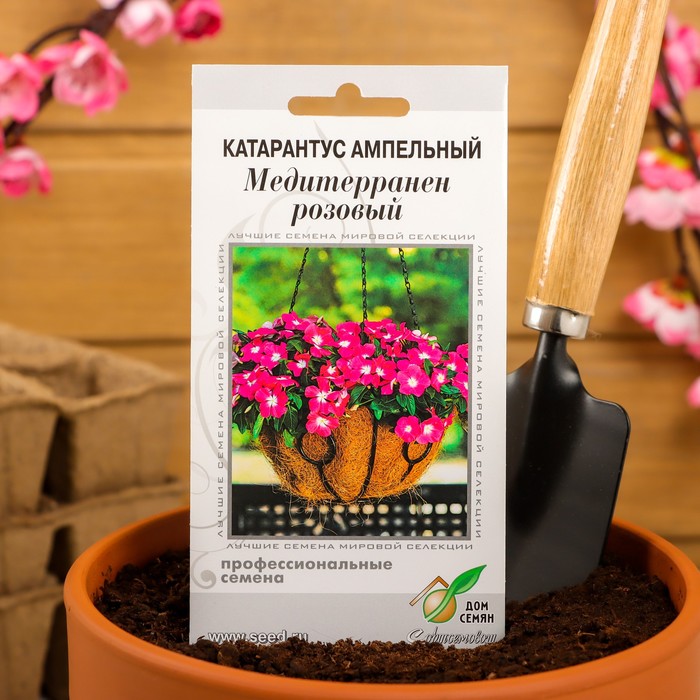 Семена цветов  Катарантус амп. Медитерранен, розовый ,7 шт - Фото 1
