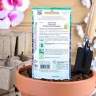 Семена цветов Лобелия "Император Вильям", 1000 шт - Фото 2