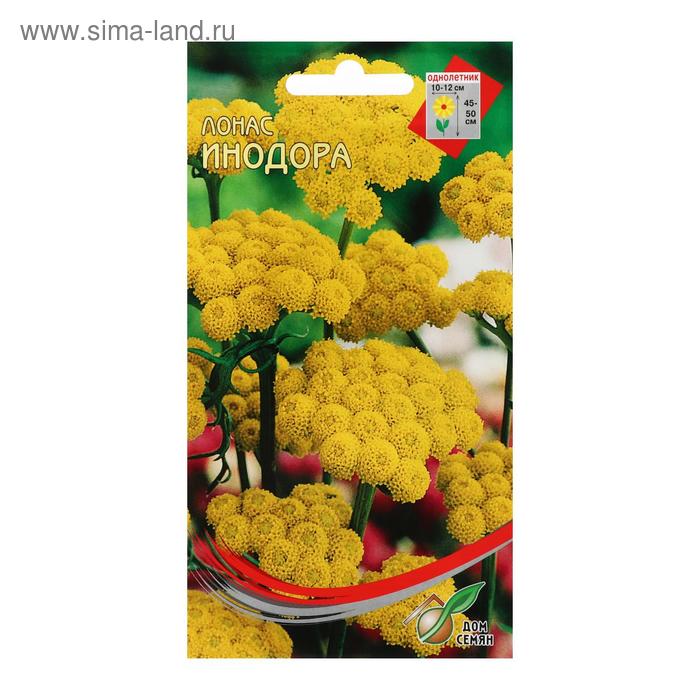 Семена цветов Лонас "Инодора", 100 шт - Фото 1