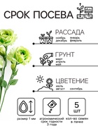 Семена цветов Лизиантус F1 «Эйбиси», зеленая, 5 шт., «Дом семян» - Фото 2