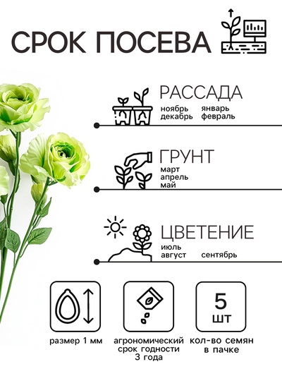 Семена цветов Лизиантус F1 «Эйбиси», зеленая, 5 шт., «Дом семян»