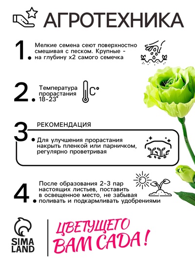Семена цветов Лизиантус F1 «Эйбиси», зеленая, 5 шт., «Дом семян»