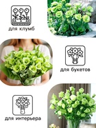 Семена цветов Лизиантус F1 «Эйбиси», зеленая, 5 шт., «Дом семян» - Фото 4