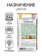 Семена цветов Пеларгония "Рафаэлла", алая, F1, 5 шт - Фото 3