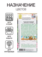 Семена цветов Пеларгония "Рафаэлла", розовая, 5 шт, F1, 4657958 - фото 15097428