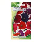 Семена цветов Петуния многоцветковая "Гарден Квин Микс", F1, 10 шт - Фото 1