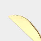 Столовые приборы «Оску», 24 предмета, в коробке, нержавеющая сталь, золотистые - Фото 3