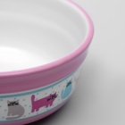 Миска керамическая «Кошачья жизнь» 270 мл 12.7×5 см, розовая - Фото 2