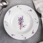 Тарелка фарфоровая глубокая Доляна «Лаванда», d=20 см, цвет белый - Фото 2