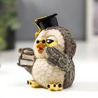 Сувенир полистоун "Совёнок - профессор" 9,8х6,5х9 см - Фото 3