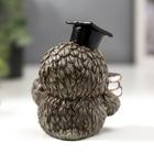 Сувенир полистоун "Совёнок - профессор" 9,8х6,5х9 см - Фото 4