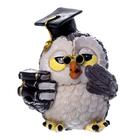 Сувенир полистоун "Совёнок - профессор" 9,8х6,5х9 см - Фото 5