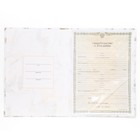 Папка для свидетельства о рождении «Мрамор» 32×22.3 см - Фото 5