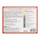 Гуашь художественная, набор 12 цветов × 20 мл, ЗХК «Сонет», (36411571) - Фото 6