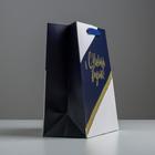 Пакет подарочный новогодний ламинированный «Удачи в Новом году», ML 23×27×11.5 см 4843470