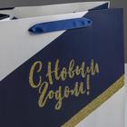 Пакет подарочный новогодний ламинированный «Удачи в Новом году», ML 23×27×11.5 см 4843470