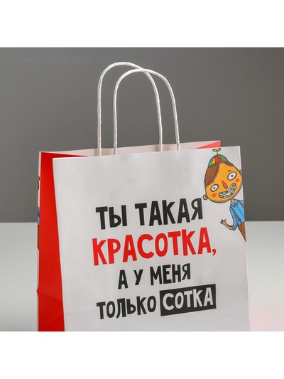 Пакет подарочный, упаковка, «Красотка», 22×22×11 см