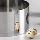 Форма для выпечки и выкладки TAS-PROM «Круг», h=6.5 см, d=14 см, нержавеющая сталь - Фото 3