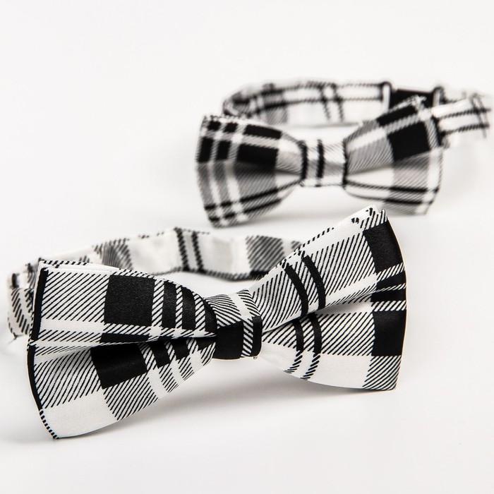 Набор галстук-бабочек «Мистер» для мальчиков, виды МИКС - фото 1926137961