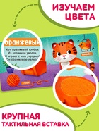 Тактильная книжка «Первые цвета», 12 стр., 6 вставок - Фото 3