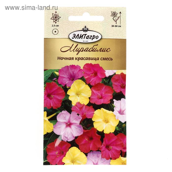 Как выглядят семена ночной красавицы Как выглядят семена ночной красавицы